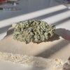 Pyriet-KC Home-King Crystals